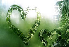 黄金回调VS比特币“崩盘”？财富机会就在眼前！